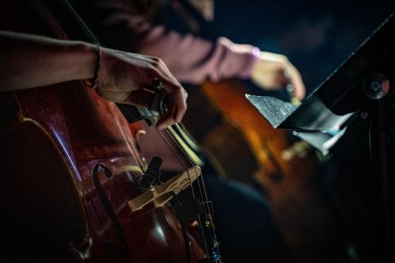 Orkester