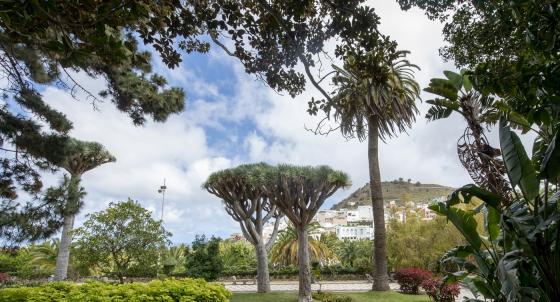 Parque de Las Flores i Arucas, Gran Canaria