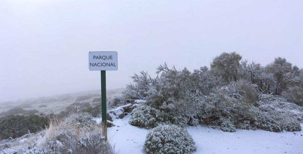 Snø i nasjonalparken på Tenerife.