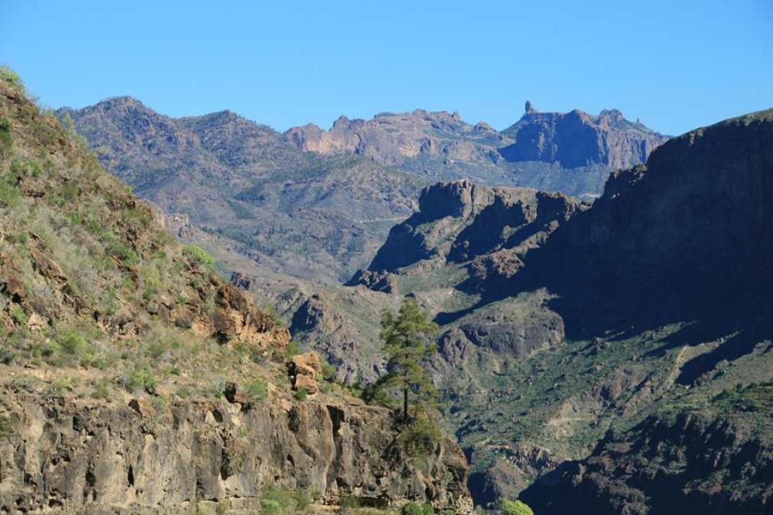 Cercados de Araña