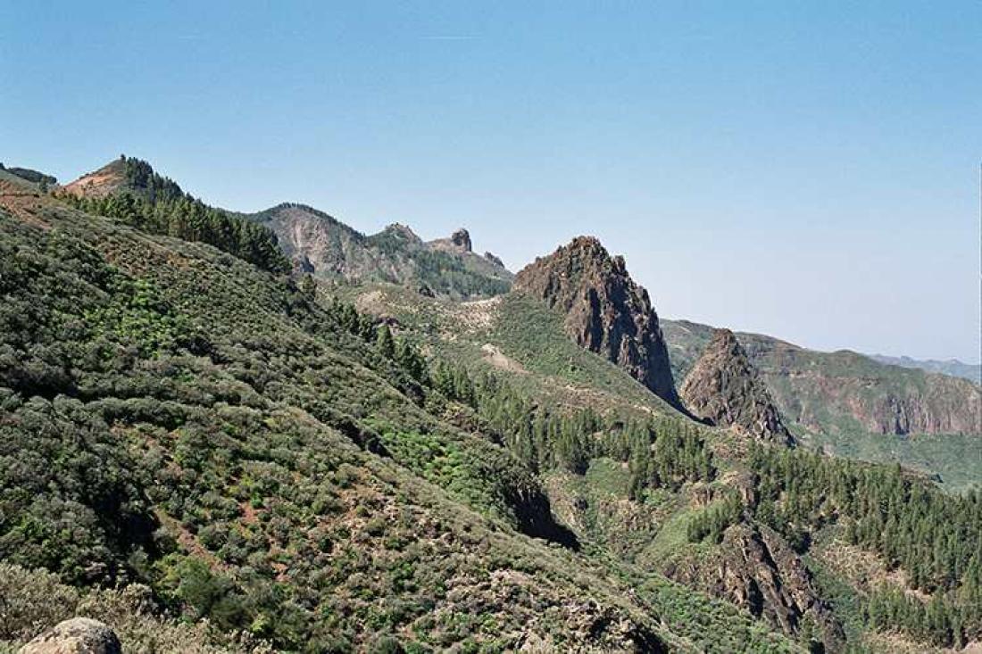 Ved Caldera de Los Marteles Ved Caldera de Los Marteles