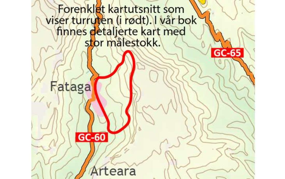 Fottur på bortgemte stier ovenfor Fataga