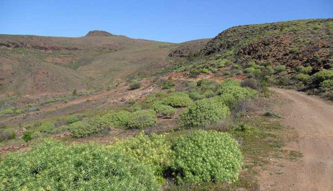 Vestsiden av Llanos de Santidad