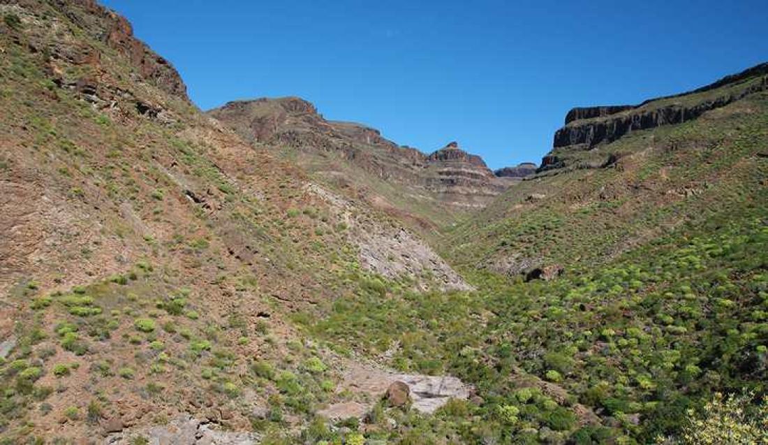 Vill natur i Barranco Taurito