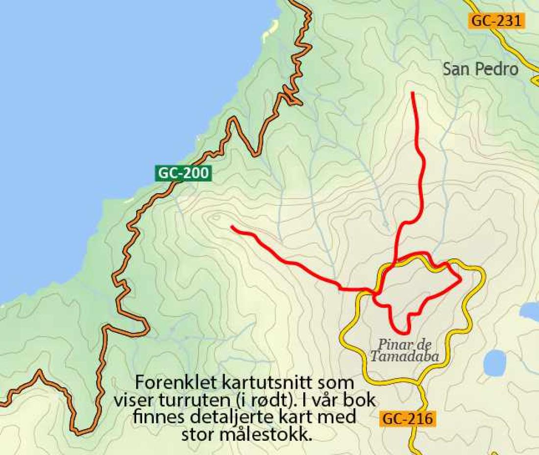 Fottur til Tamadaba, Gran Canaria