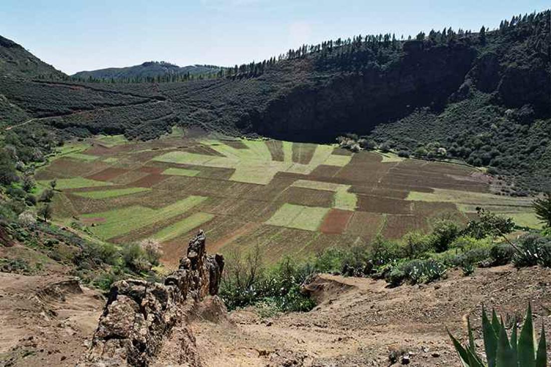 Fottur til Caldera de los Marteles